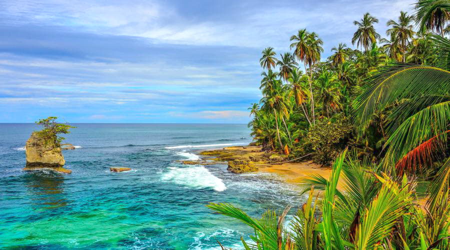 ¿Cuáles son las opciones de vehículos más populares en Puerto Viejo De Talamanca?